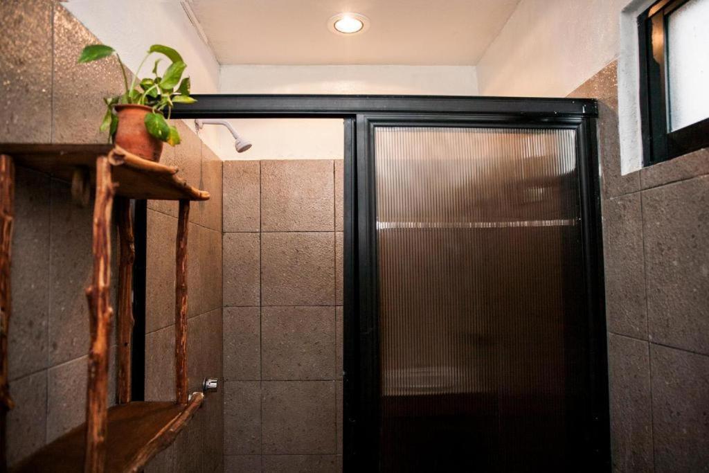 The All Inclusive Hostel - Food, Drinks And Transportation To The Beach And Cenotes Тулум Экстерьер фото